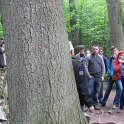 IMG_0778